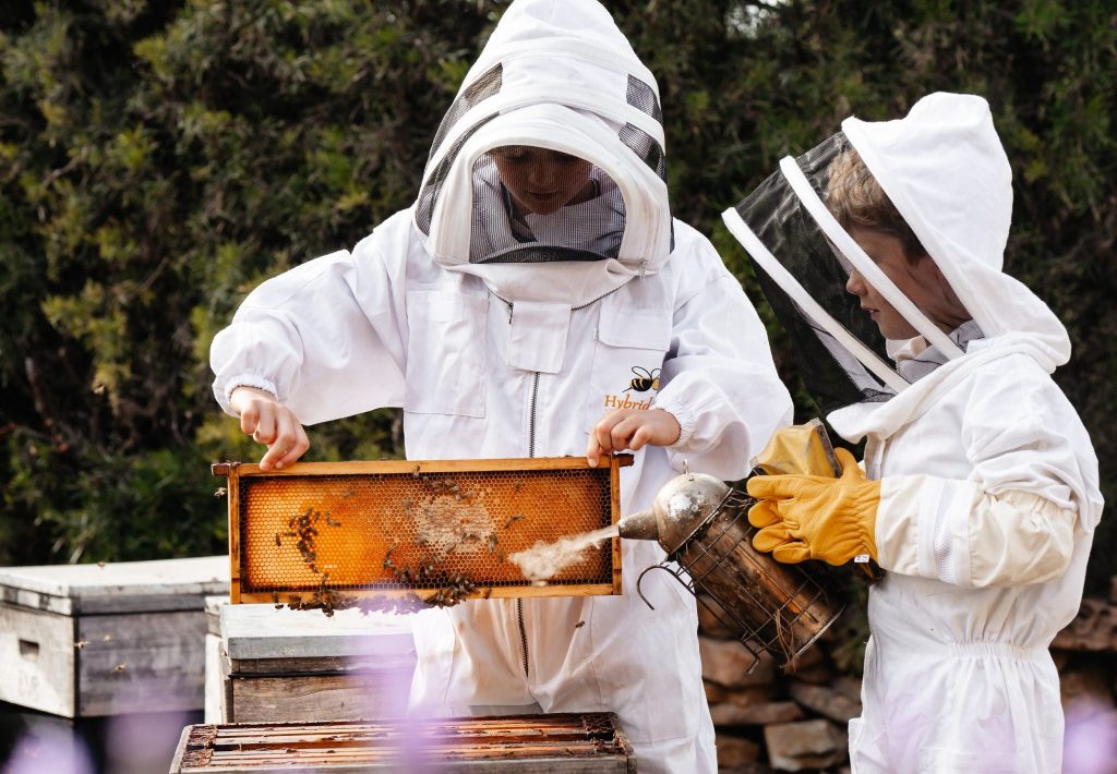 Beekeeping Experience